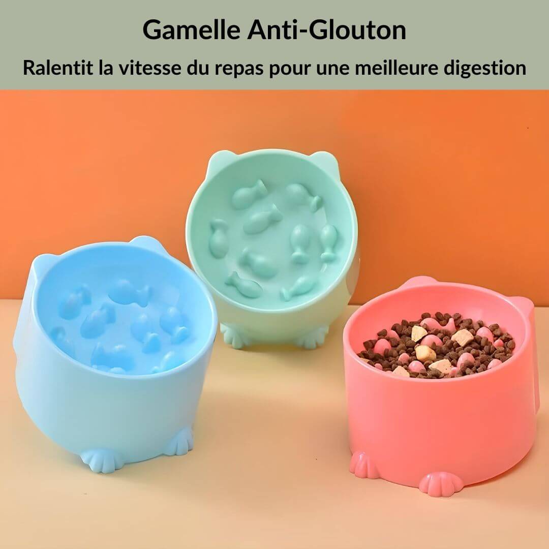 Gamelle anti-glouton pour chat - Surélevé