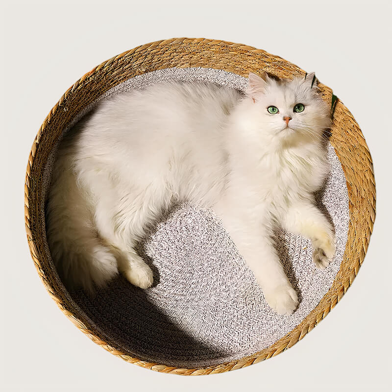 Panier rond en osier