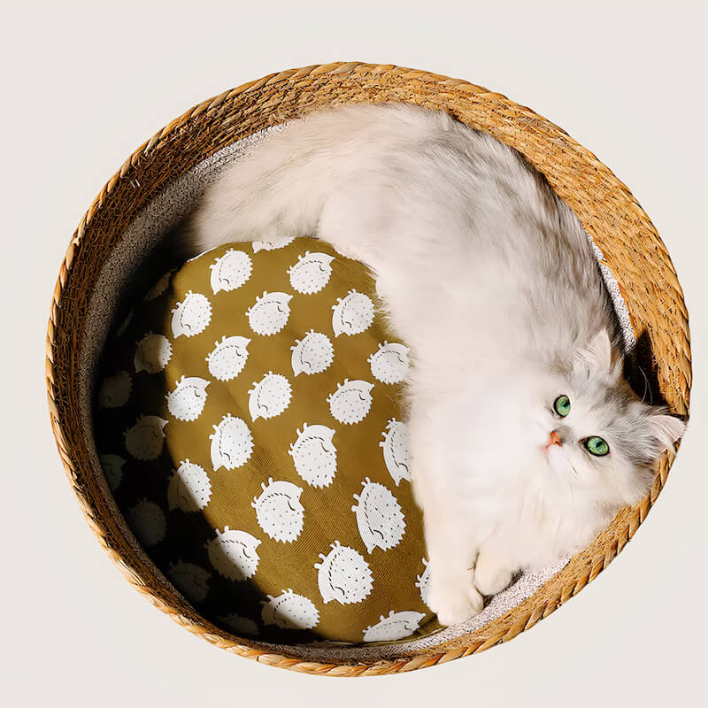 Panier rond en osier