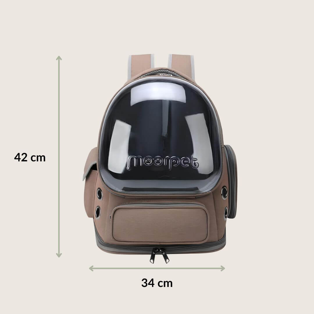 Sac à dos transport chat transparent - Fenêtre panoramique