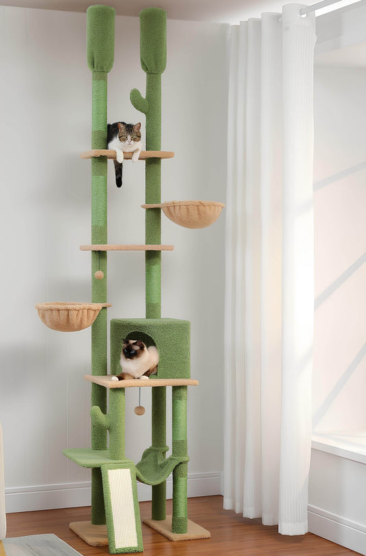 Arbre à chat cactus XXL
