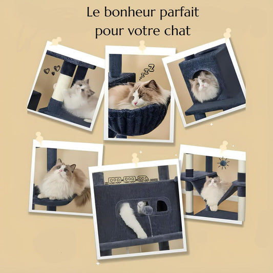 Arbre à chat XXL - Spécial gros chats et Maine Coon
